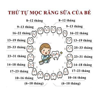 thứ tự mọc răng của trẻ con