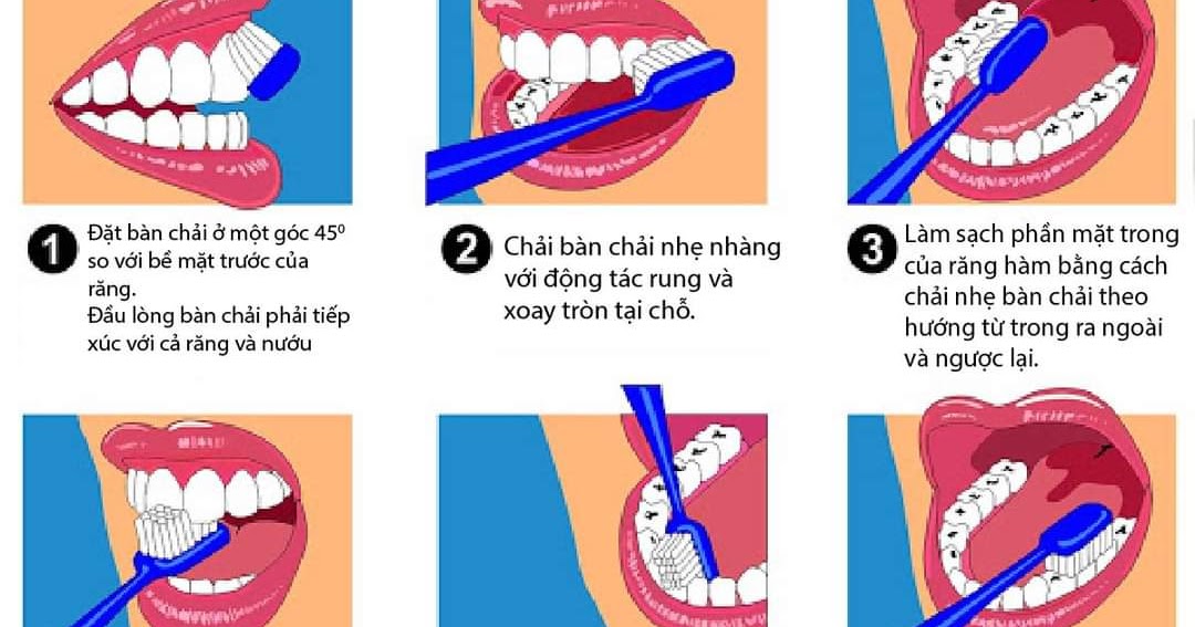 Cách vệ sinh răng đúng